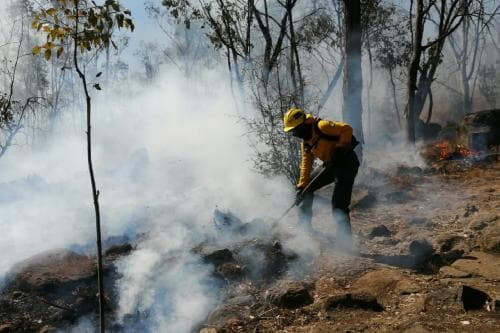 Videos: Ya sólo quedan 4 incendios forestales activos en Edomex